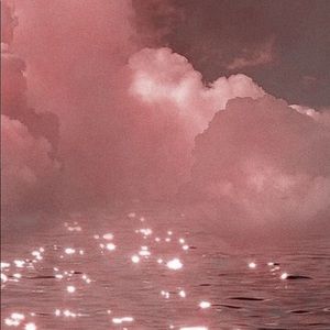 Meet your Posher, Savannah